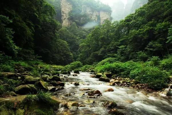 创建全国文明城市 平凉在行动丨静宁:推进城市更新行动 打造宜居宜业幸福城